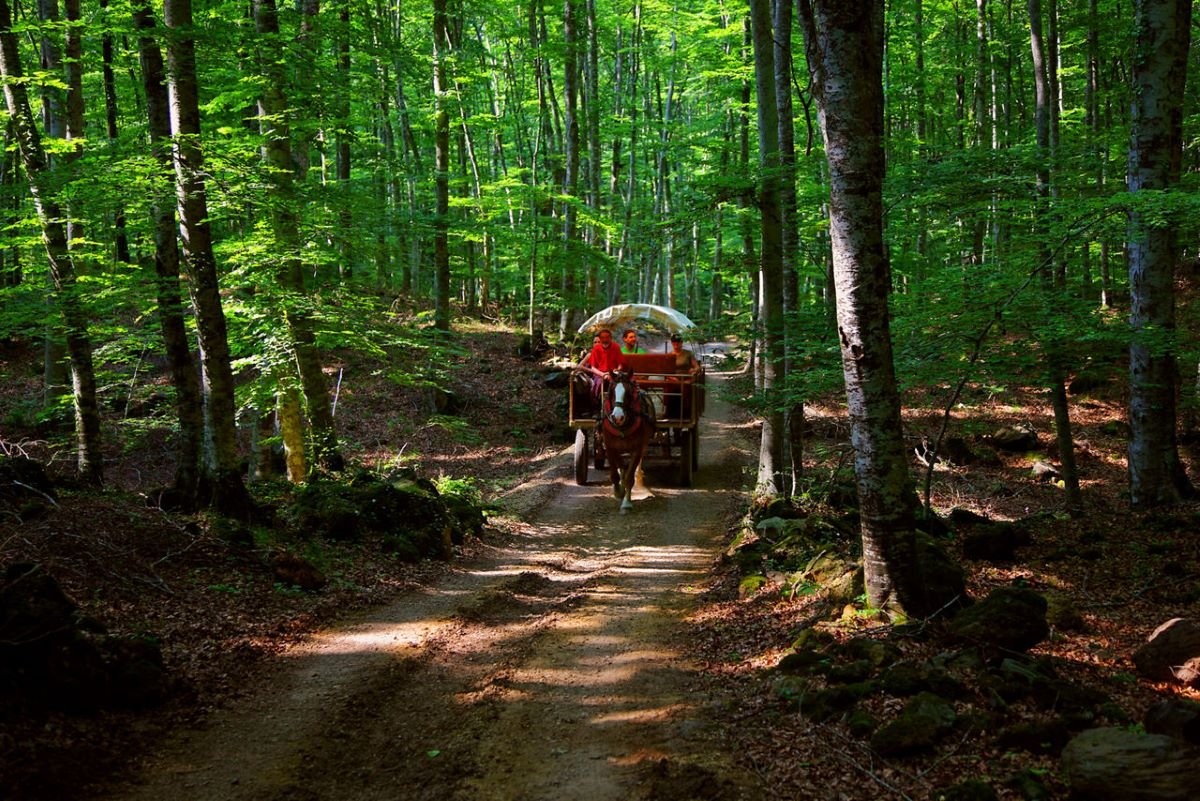 La Garrotxa, Terre des Volcans: Un paysage unique