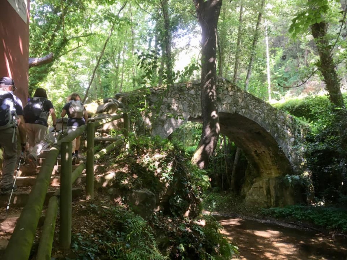 Riera d'Arbúcies: Randonnée entre rivières et forêts